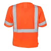 1294-OZ-Orange-Back